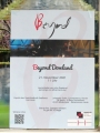 B Info 0